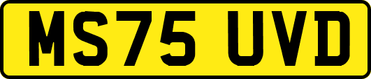 MS75UVD