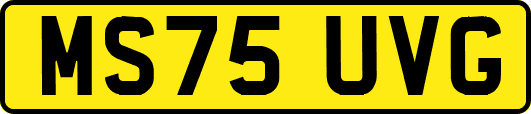 MS75UVG