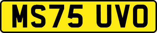 MS75UVO