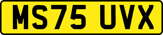 MS75UVX
