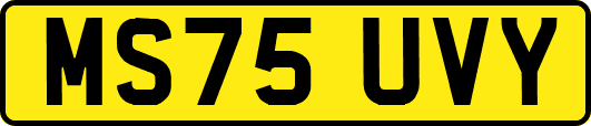 MS75UVY