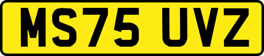 MS75UVZ