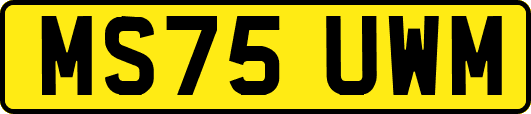 MS75UWM