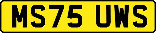 MS75UWS