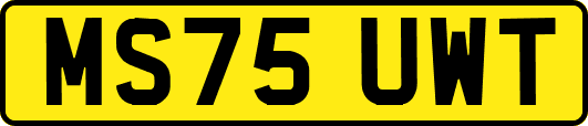 MS75UWT