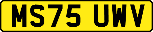 MS75UWV