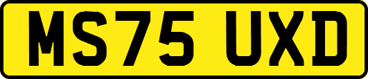 MS75UXD
