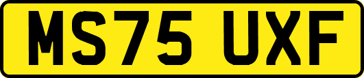 MS75UXF