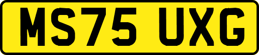 MS75UXG