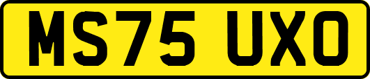 MS75UXO