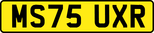 MS75UXR