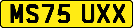 MS75UXX