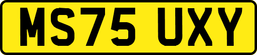 MS75UXY