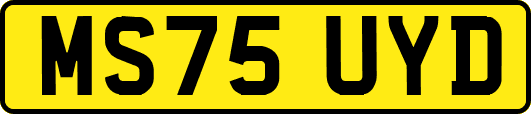 MS75UYD