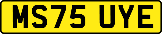 MS75UYE