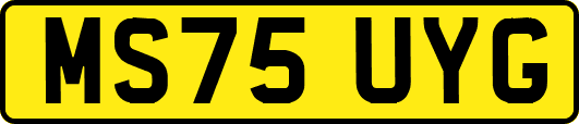 MS75UYG