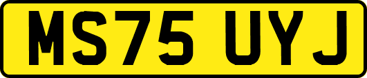MS75UYJ