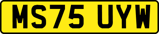 MS75UYW