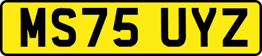 MS75UYZ