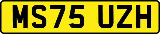 MS75UZH