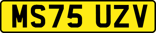 MS75UZV