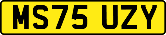 MS75UZY