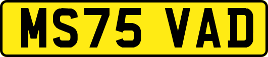 MS75VAD