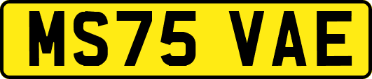 MS75VAE