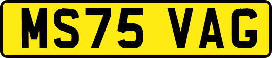 MS75VAG