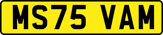 MS75VAM