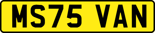 MS75VAN