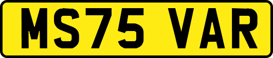 MS75VAR
