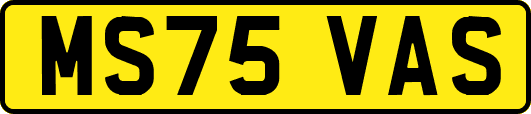 MS75VAS