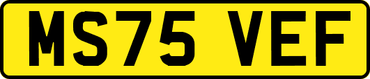 MS75VEF