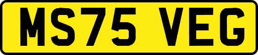 MS75VEG