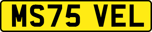 MS75VEL
