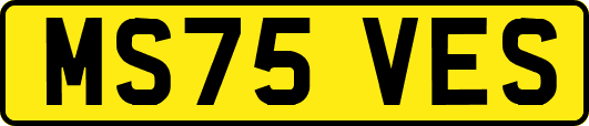 MS75VES