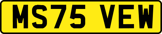 MS75VEW
