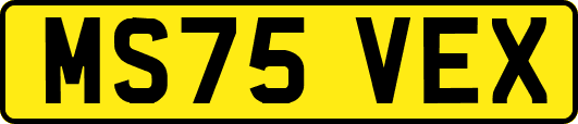 MS75VEX