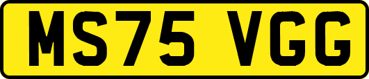 MS75VGG