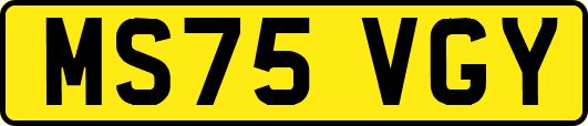 MS75VGY