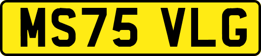 MS75VLG
