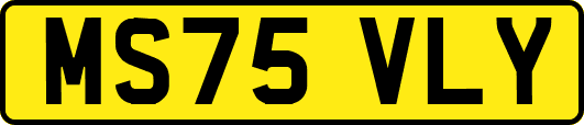MS75VLY