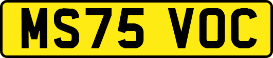 MS75VOC