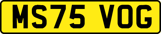 MS75VOG