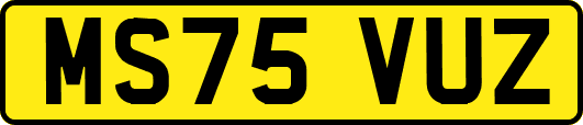 MS75VUZ