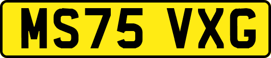 MS75VXG