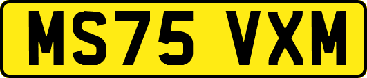 MS75VXM