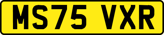 MS75VXR