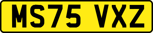 MS75VXZ